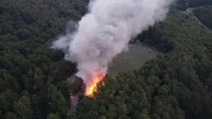 Lesní požáry jsou reálnou hrozbou i v Česku. ČHMÚ vydal výstrahu pro několik krajů
