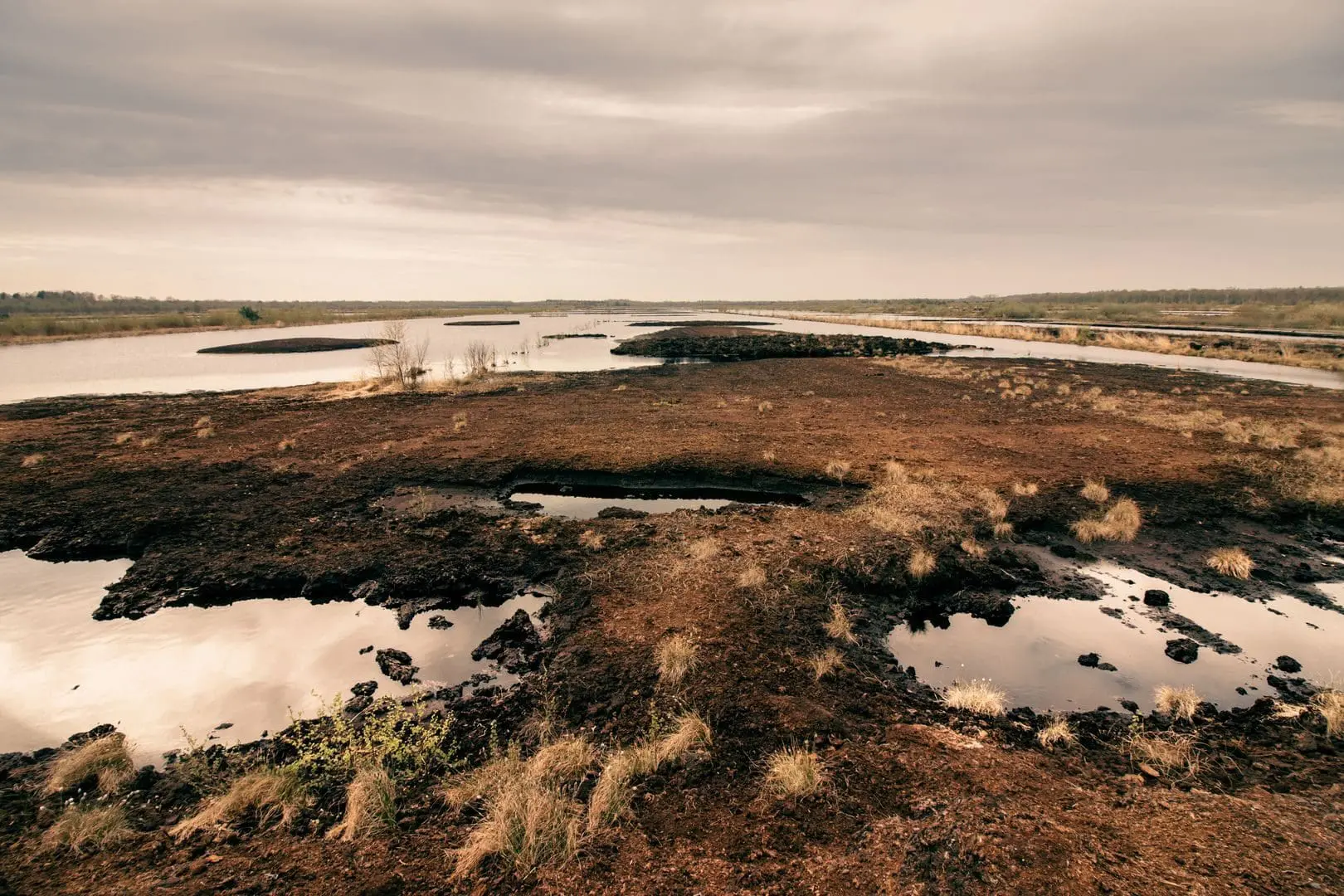 Atmospheric view of a tidal marsh in Quickborn, Germany with overcast skies.