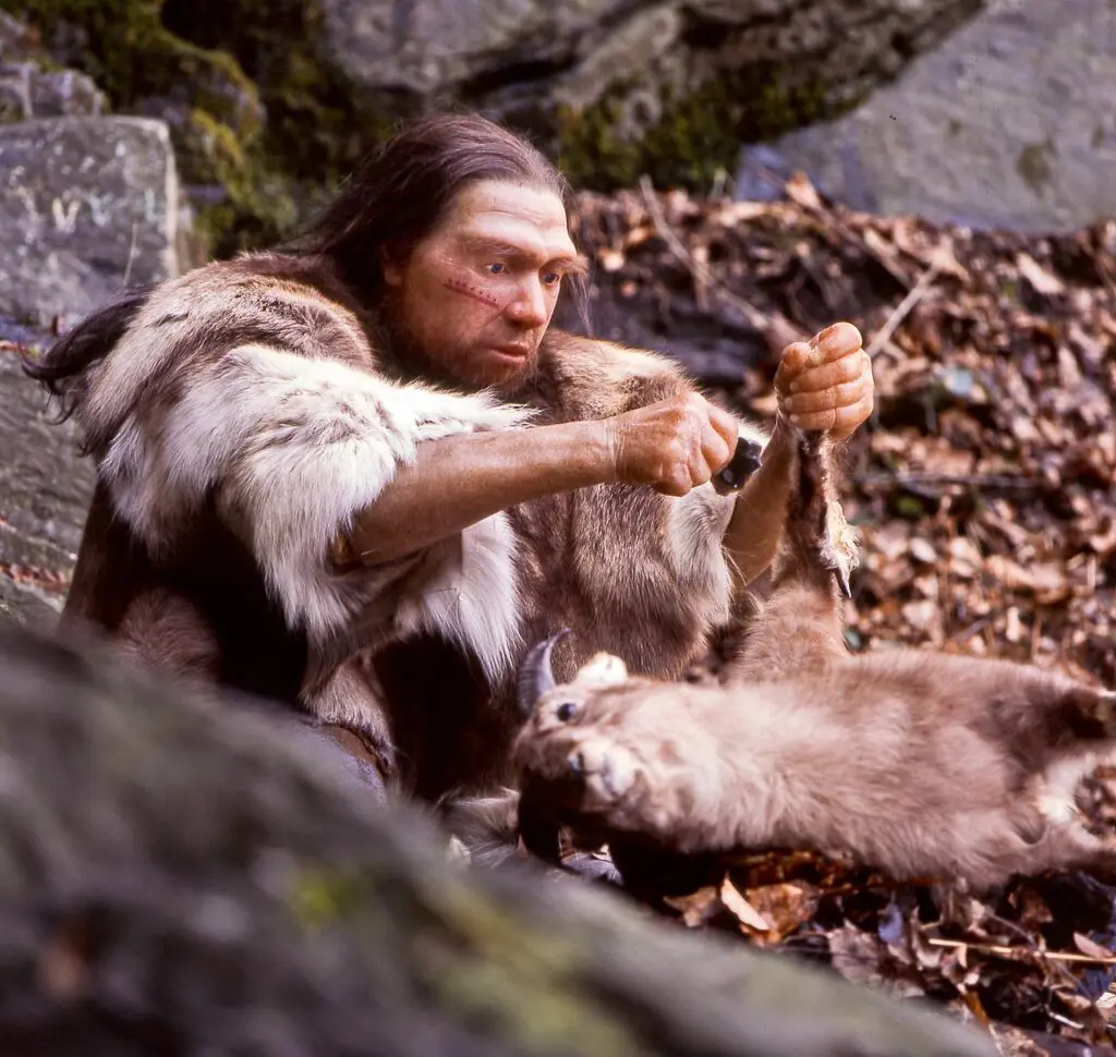 Rekonstrukce neandertálského muže v muzeu v Mettmannu