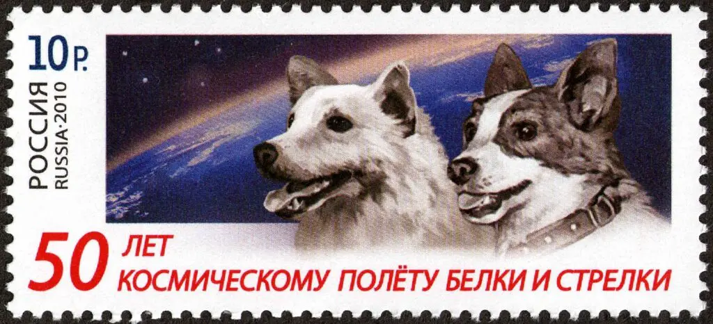 Belka a Strelka na ruské poštovní známce