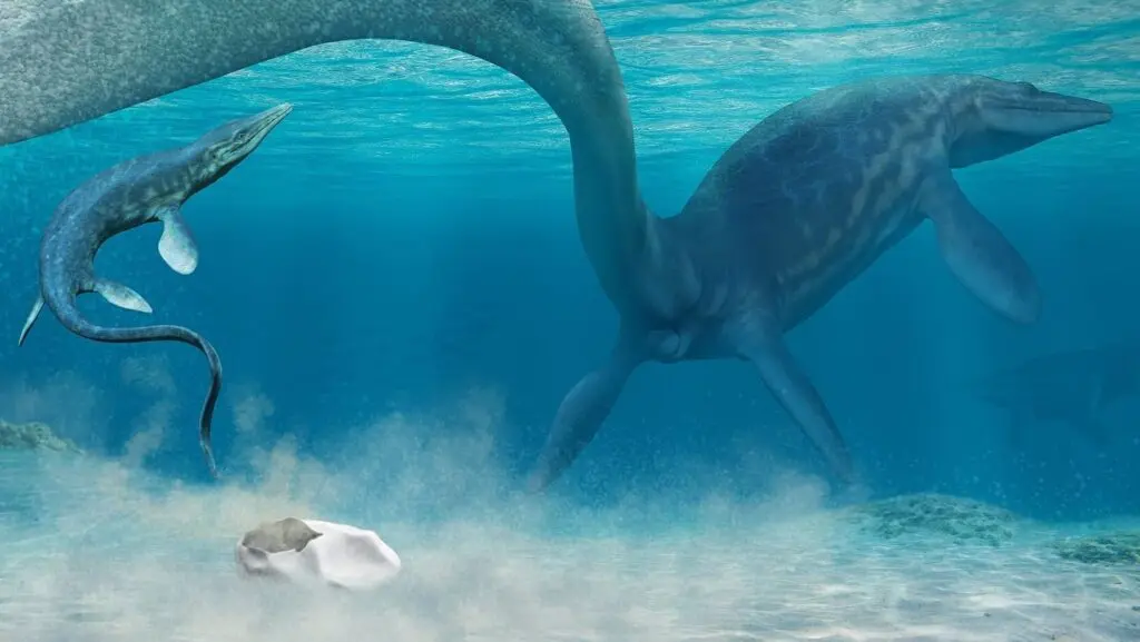 Mosasaurus s mládětem