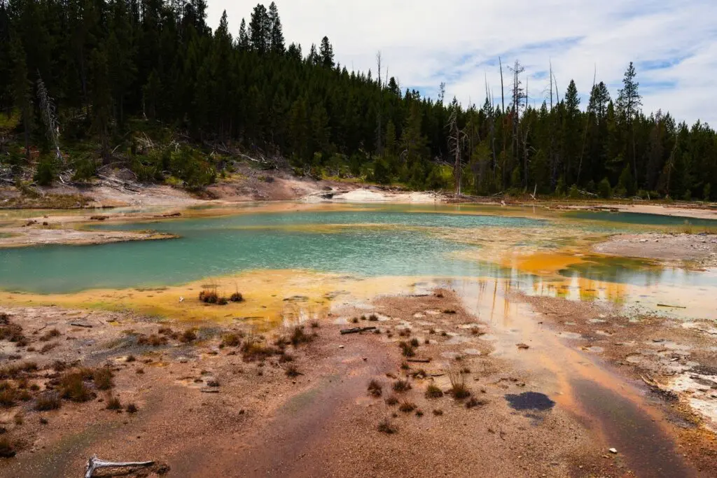 Geothermal pool with mineral deposits and pine forest