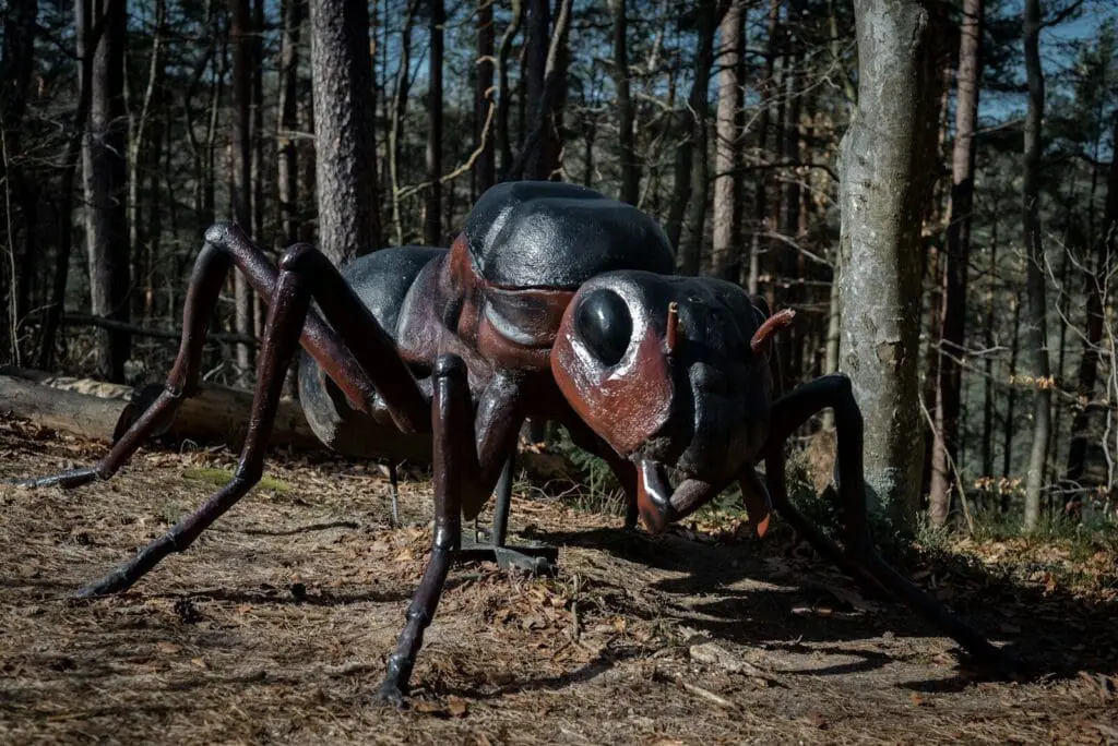 Giant ant sculpture in a forest setting