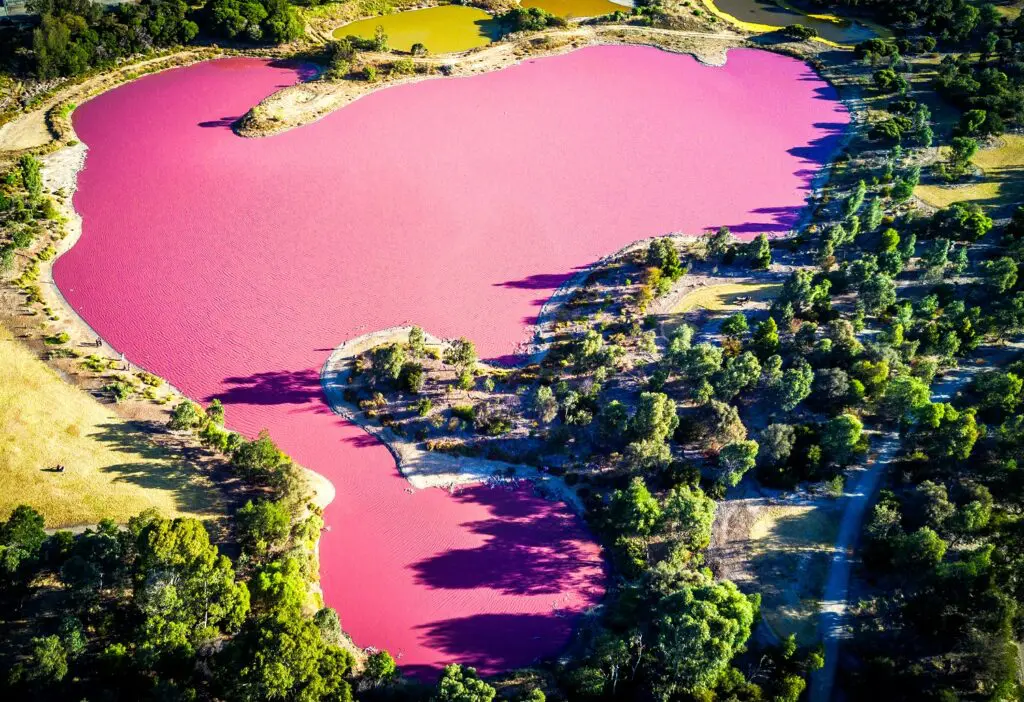 Růžové jezero v Melbourne