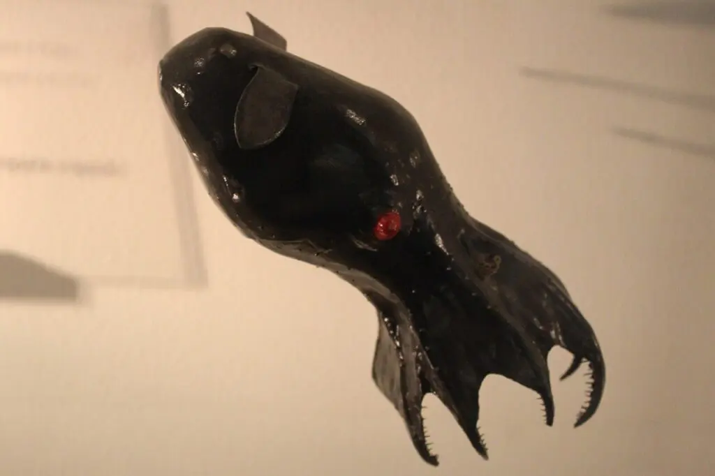 Model vampýrovky v Přírodovědném muzeu v Londýně