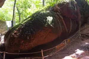Tajemná jeskyně v Thajsku vypadá jako zkamenělý had. Vytvořil ji zvláštní geologický proces