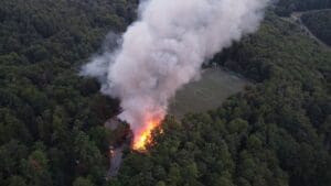 Lesní požáry jsou reálnou hrozbou i v Česku. ČHMÚ vydal výstrahu pro několik krajů