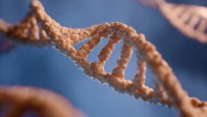 Nebyli to jen neandertálci a denisované. V našem genomu vědci objevili stopy dosud neznámého lidského druhu