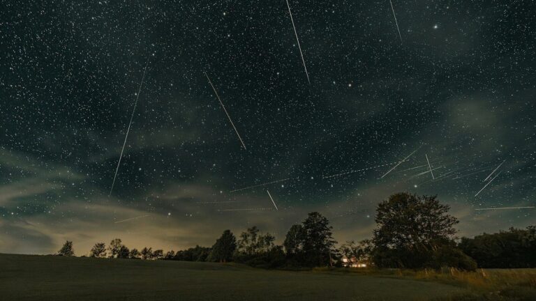 a night sky filled with stars and shooting stars