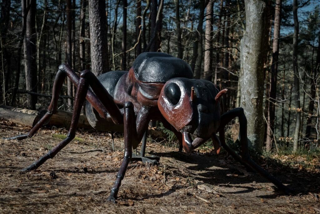 Giant ant sculpture in a forest setting