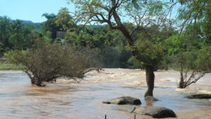 El Niño bude letos extrémní. Odbornice lidem doporučila udělat si zásoby