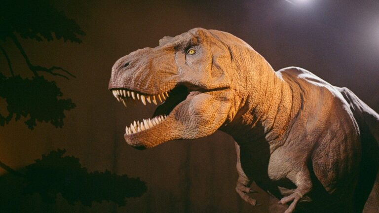 tyranosaurus s otevřenou tlamou