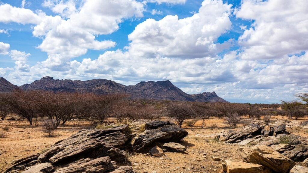 Krajina v oblasti Turkana
